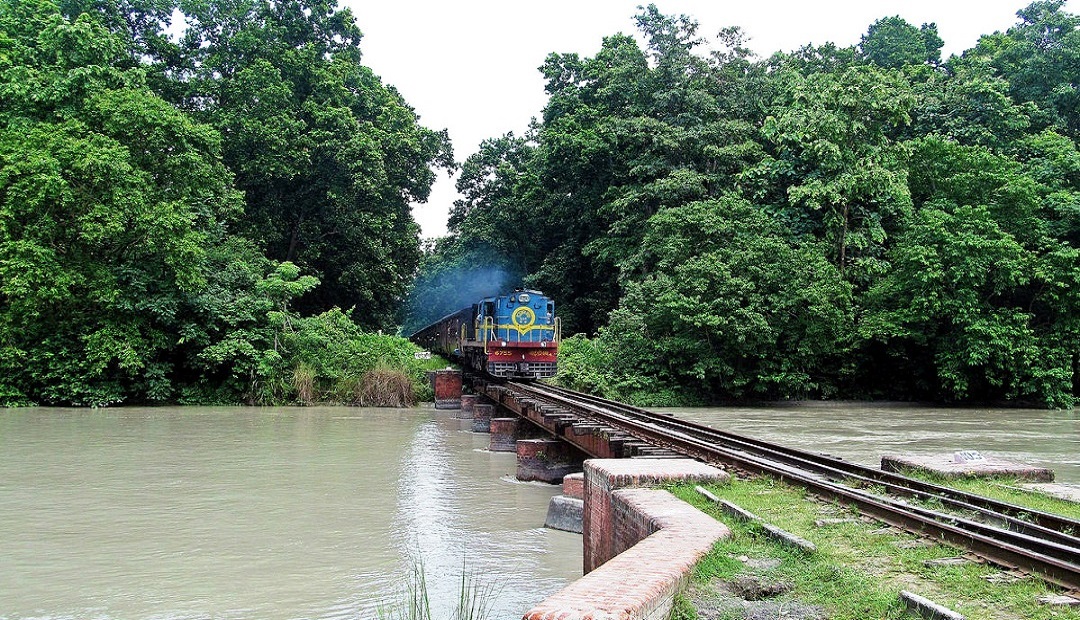 Dudhwa Tiger Reserve, Dudhwa National Park TOur Packges