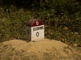 Dudhwa Tiger Reserve