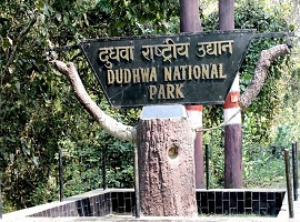 Dudhwa Tiger Reserve